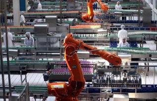 大型裝備制造項目生產計劃管理全攻略 從理論到實踐的信息技術應用與咨詢指南